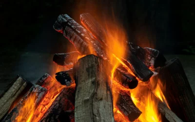 The Wrong Wood: A Chimney’s Worst Enemy